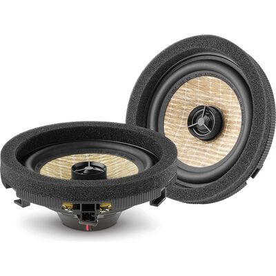 IC MBZ 100 V2