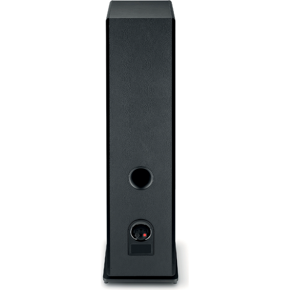 Focal Vestia N°4, Black High Gloss, Цвет: Black High Gloss, изображение 6