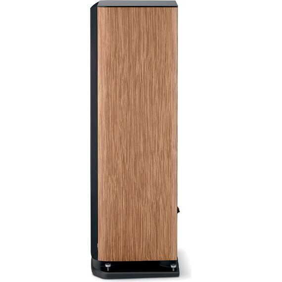 Focal Aria Evo X N°3, Prime Walnut, Цвет: Prime Walnut, изображение 5