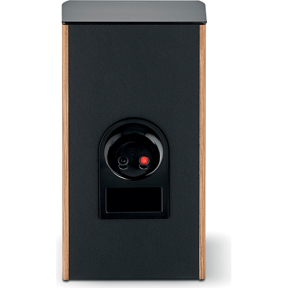 Focal Aria Evo X N°1, Prime Walnut, Цвет: Prime Walnut, изображение 4