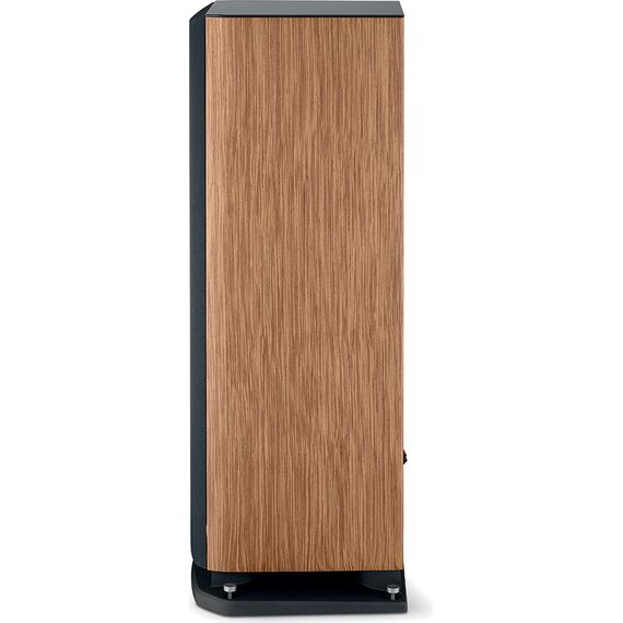 Focal Aria Evo X N°4, Prime Walnut, Цвет: Prime Walnut, изображение 5