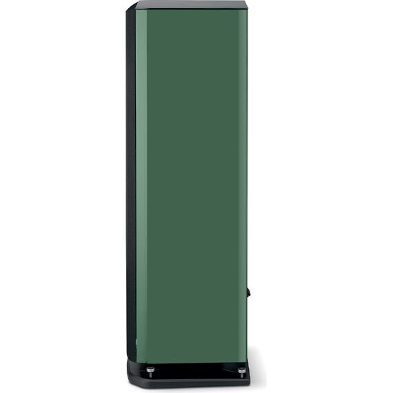 Focal Aria Evo X N°3, Moss Green High Gloss, Цвет: Moss Green High Gloss, изображение 5