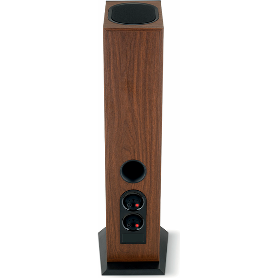 Focal Theva N°3-D, Dark Wood, Цвет: Dark Wood, изображение 6