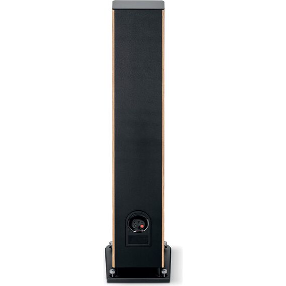 Focal Aria Evo X N°3, Prime Walnut, Цвет: Prime Walnut, изображение 4