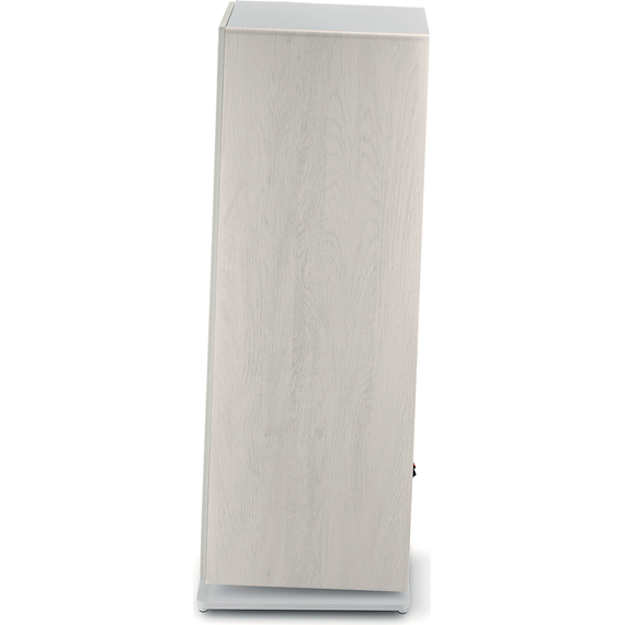 Focal Vestia N°4, Light Wood, Цвет: Light Wood, изображение 5