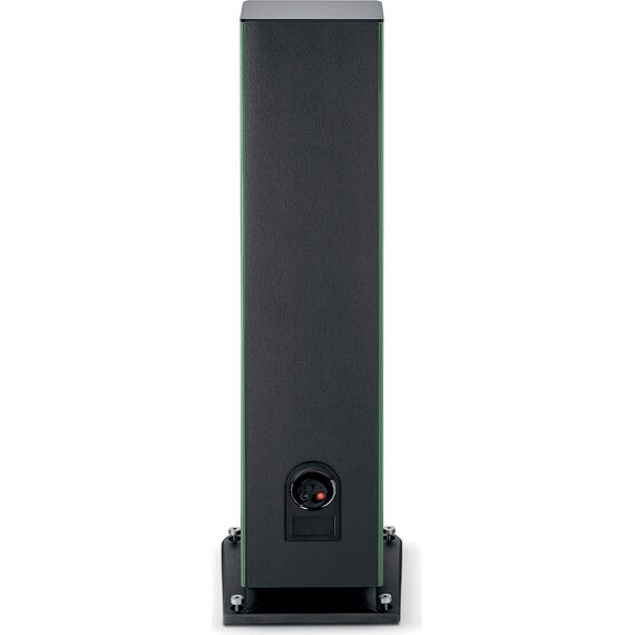 Focal Aria Evo X N°4, Moss Green High Gloss, Цвет: Moss Green High Gloss, изображение 4