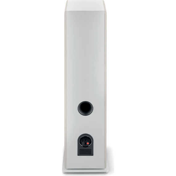 Focal Vestia N°4, Light Wood, Цвет: Light Wood, изображение 6