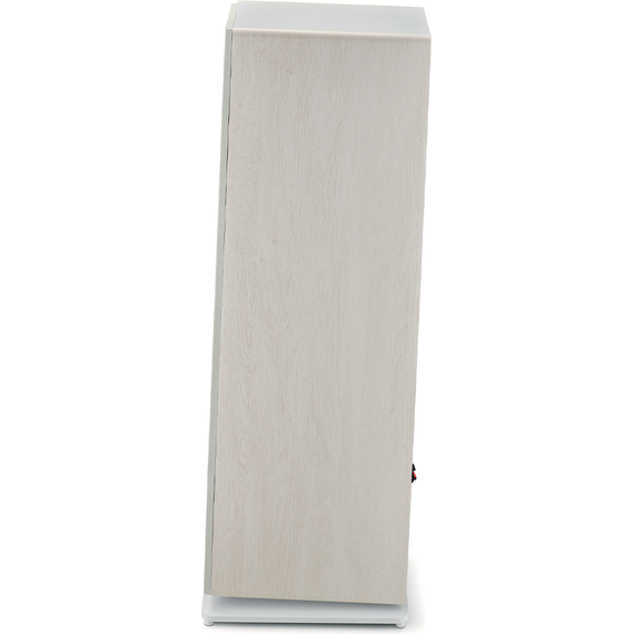 Focal Vestia N°2, Light Wood, Цвет: Light Wood, изображение 5