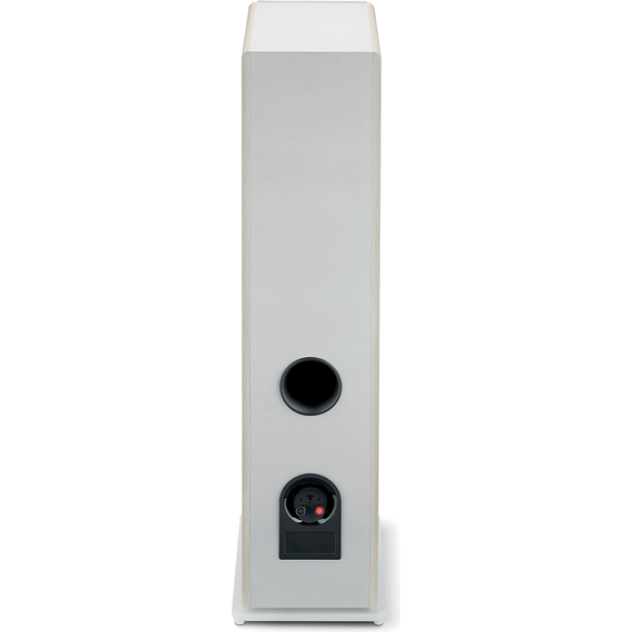 Focal Vestia N°2, Light Wood, Цвет: Light Wood, изображение 6