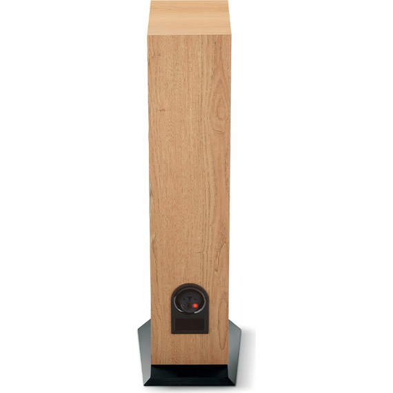 Focal Chora 816, Light Wood, Цвет: Light Wood, изображение 6