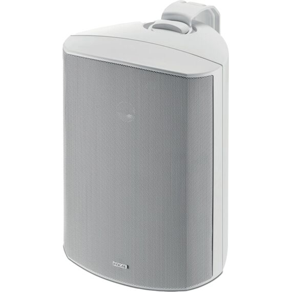 Всепогодная акустическая система Focal 100 OD6 - T, White, Цвет: White