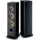 Focal Aria Evo X N°4, Black High Gloss, Цвет: Black High Gloss