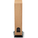 Focal Chora 816, Light Wood, Цвет: Light Wood, изображение 6