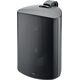 Всепогодная акустическая система Focal 100 OD8 - T, Black, Цвет: Black