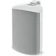 Всепогодная акустическая система Focal 100 OD8 - T, White, Цвет: White