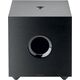 Focal Cub Evo